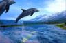 thm_dolphin-two.jpg